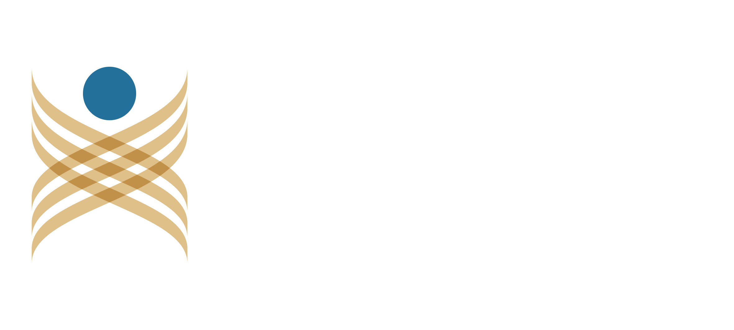 Gruppo Circi | Impresa di costruzioni generali |